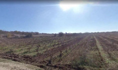 Residential 12041 m2 for sale in Kathikas, Paphos