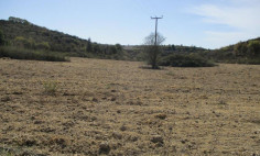 (agricultural) in Kathikas, Paphos for sale , Paphos