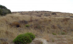 Residential 2936 m2 for sale in Pomos, Paphos