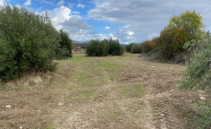 Land for sale in Kritou Tera, Paphos