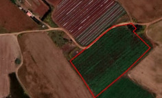 Spacious land for sale in Frenaros, Famagusta