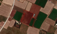 Lovely land for sale in Avgorou, Famagusta