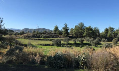 Beautiful residential 3679 m2 for sale in Lythrodontas, Nicosia