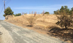 Large land for sale in Evrychou, Nicosia