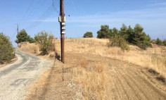 Large land for sale in Evrychou, Nicosia