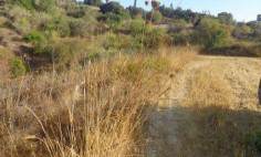 (agricultural) in Polemi, Paphos for sale , Paphos