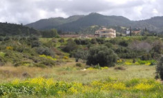 Residential 1840 m2 for sale in Ayia Marina Chrysochous, Paphos