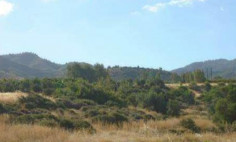 Residential 1840 m2 for sale in Ayia Marina Chrysochous, Paphos
