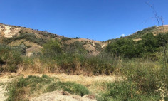 (agricultural) in Giolou, Paphos for sale , Paphos