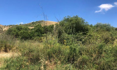 (agricultural) in Giolou, Paphos for sale , Paphos