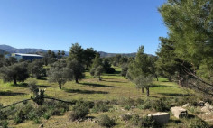 Spacious land for sale in Lythrodontas, Nicosia
