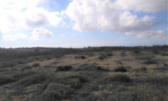 Spacious land for sale in Kathikas, Paphos