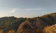 Land for sale in Amargeti, Paphos