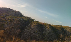 Land for sale in Amargeti, Paphos