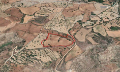 (agricultural) in Drymou, Paphos for sale , Paphos