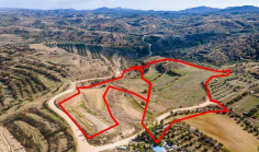 (agricultural) in Kampia, Nicosia for sale , Nicosia