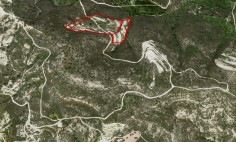 Land 35453 m2 for sale in Asgata, Limassol