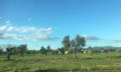 Residential 4599 m2 for sale in Geri, Nicosia