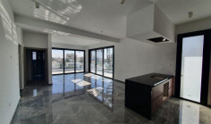 Large 3 bedroom penthouse for sale in Agios Nectarios