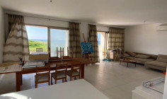 Large 3 bedroom house with swimming pool for sale in Kato Paphos
