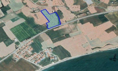 (agricultural) in Mazotos, Larnaca for sale , Larnaca