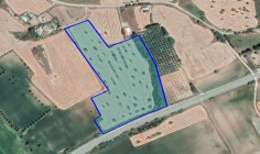 (agricultural) in Mazotos, Larnaca for sale , Larnaca