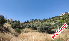 Residential 1004 m2 for sale in Kapedes, Nicosia