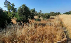Spacious residential for sale in Ergates, Nicosia Spacious residential for sale in Ergates, Nicosia