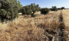 Spacious residential for sale in Ergates, Nicosia Spacious residential for sale in Ergates, Nicosia