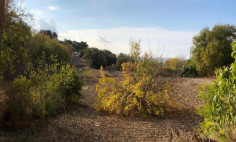 Beautiful residential for sale in Lysos, Paphos