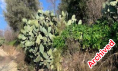 (residential) in Amargeti, Paphos for sale , Paphos