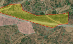 Land 15469 m2 for sale in Kalo Chorio, Limassol