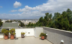 Apartment (flat) in Agia Zoni, Limassol for rent 