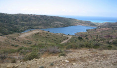 Spacious land for sale in Akoursos, Paphos