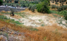 Large residential 660 m2 for sale in Politiko, Nicosia