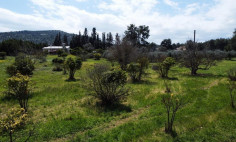 (residential) in Psevdas, Larnaca for sale , Larnaca