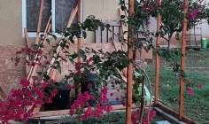 Beautiful 4 bedroom house with swimming pool to rent in Palodia