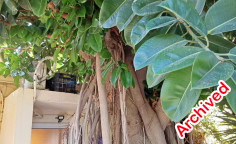 A multi-section property for sale consisting of a variety of living quarters on a total plot of 628m2