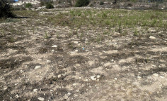 Land in Marathounta, Paphos , Paphos