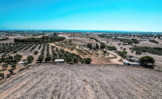 Residential 8306 m2 for sale in Tersefanou, Larnaca