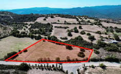 Field in Vavla, Larnaca , Larnaca
