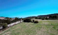 Field in Vavla, Larnaca , Larnaca