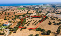 Spacious residential 11037 m2 for sale in Mazotos, Larnaca