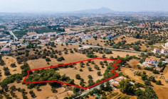 Spacious residential 11037 m2 for sale in Mazotos, Larnaca