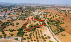 Spacious residential 11037 m2 for sale in Mazotos, Larnaca