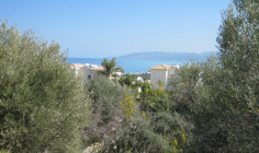 (residential) in Neo Chorio, Paphos for sale , Paphos