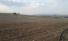 Land 28066 m2 for sale in Psimolofou, Nicosia