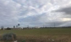 (agricultural) in Psimolofou, Nicosia for sale , Nicosia