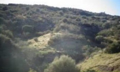 Residential 7358 m2 for sale in Kato Pyrgos, Nicosia