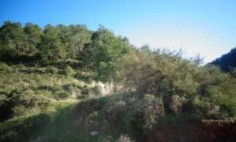 Residential 9365 m2 for sale in Kato Pyrgos, Nicosia